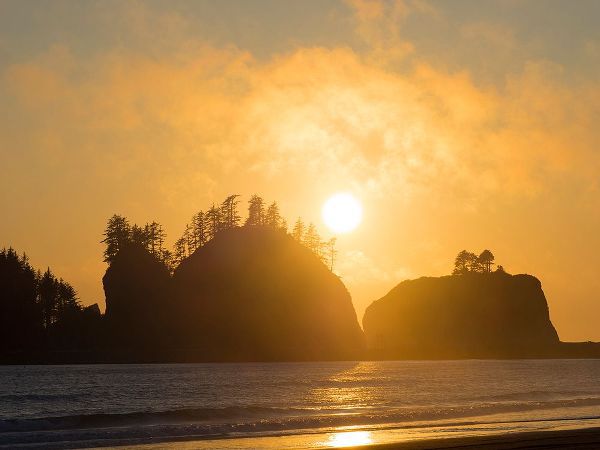 Wild, Jamie and Judy 아티스트의 Washington State-Pacific Coast-First Beach sunset작품입니다.